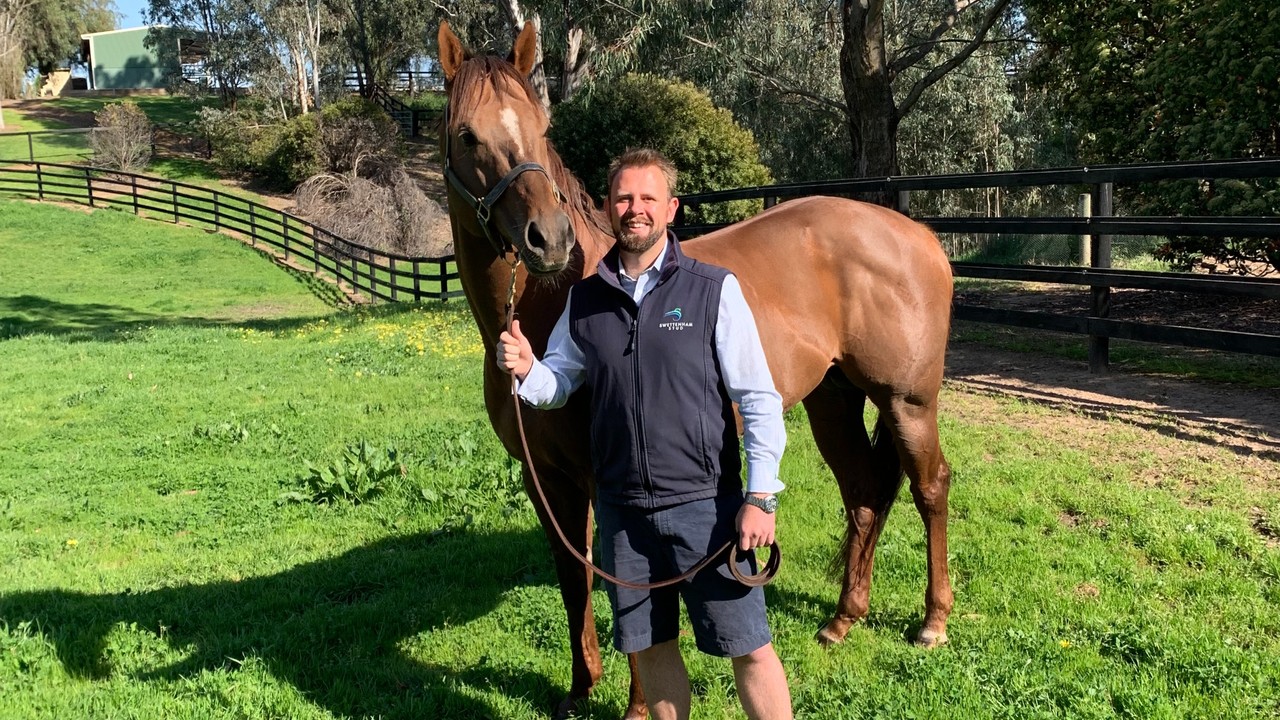 Swettenham Stud’s Sam Matthews On Masked Crusader, ... Image 1